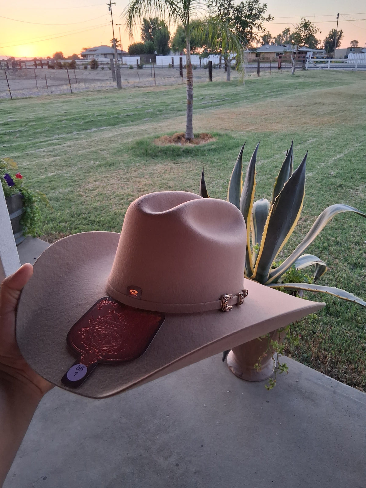 Texana Tombstone 20X Roper – Color Nutria