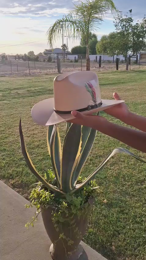 SOMBRERO CUERNOS CHUECOS 5000X ESTILO JOHNSON TELAR 3 1/2"